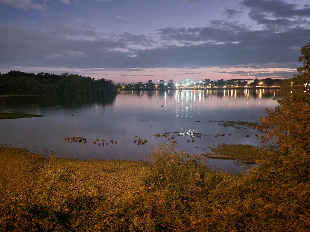A panoramic view across the LSU Lakes at twilight, with ducks, a heron, and the light of the LSU campus in the distance. Photo by Gene Kopp.