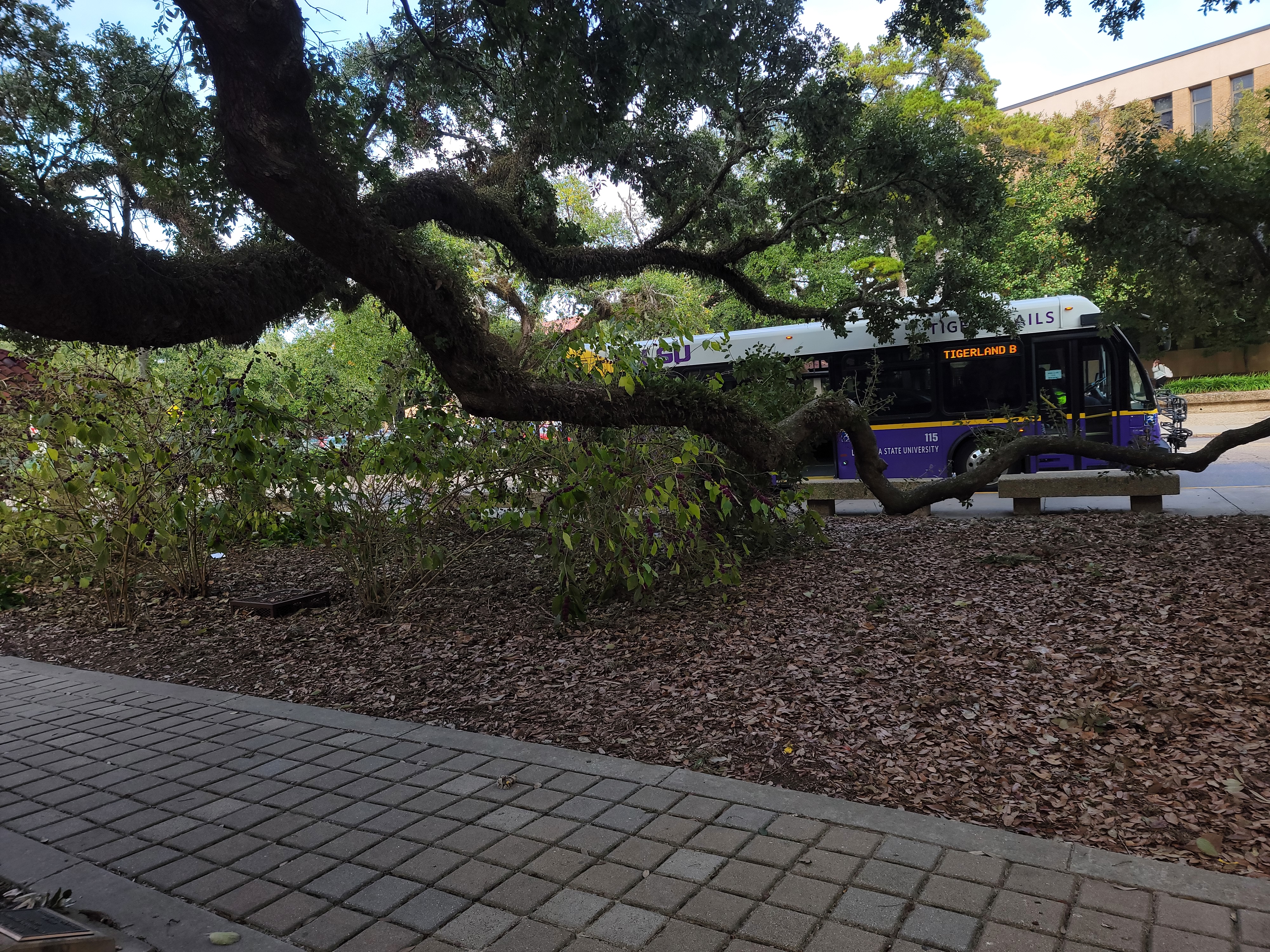 Resources – Bayou Arithmetic Research Days